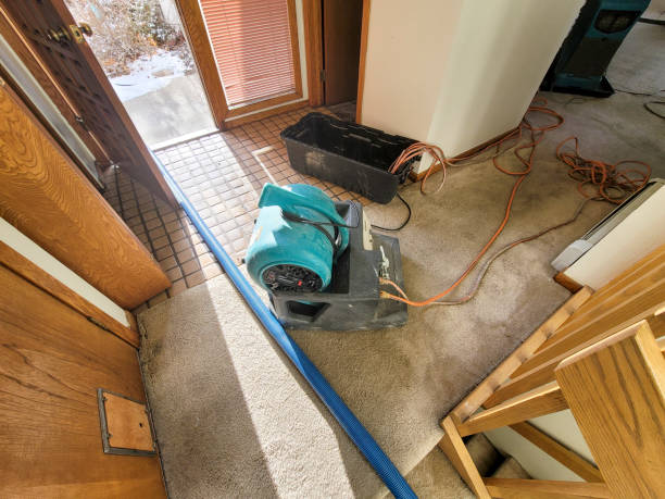 Best Carpet water damage restoration  in Montgomery, PA