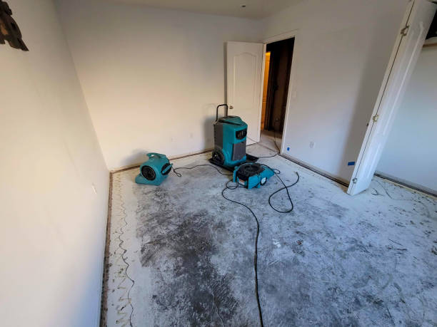 Best Carpet water damage restoration  in Montgomery, PA