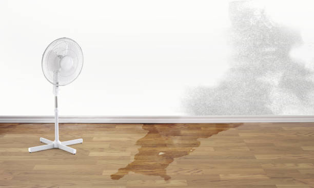 Best Water damage restoration insurance claims  in Montgomery, PA