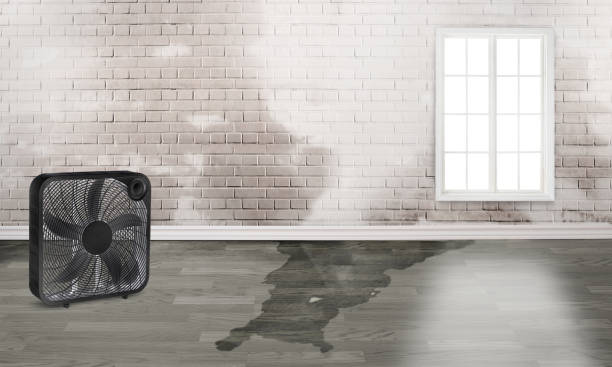 Best 24/7 water damage repair  in Montgomery, PA
