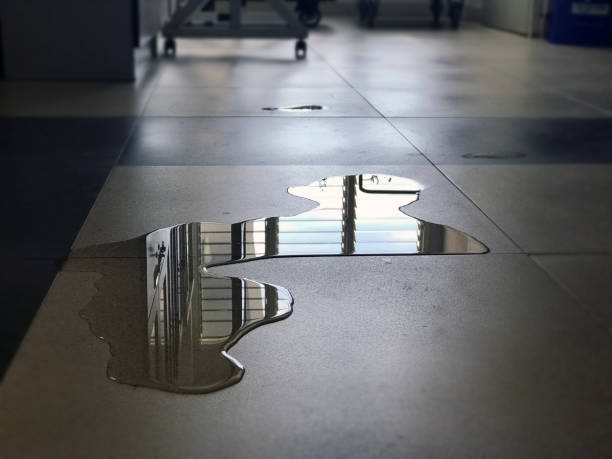 Best 24/7 water damage repair  in Montgomery, PA