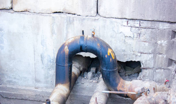 Best Mold removal after water damage  in Montgomery, PA
