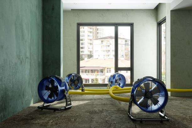 Best 24-hour water damage restoration  in Montgomery, PA