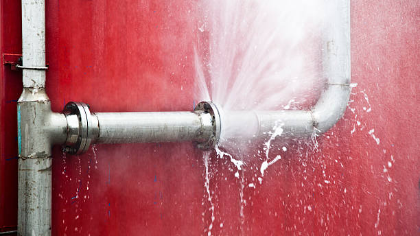 Best Professional water damage repair  in Montgomery, PA